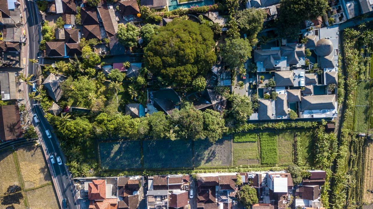 Seminyak Villa Kalyca Zewnętrze zdjęcie
